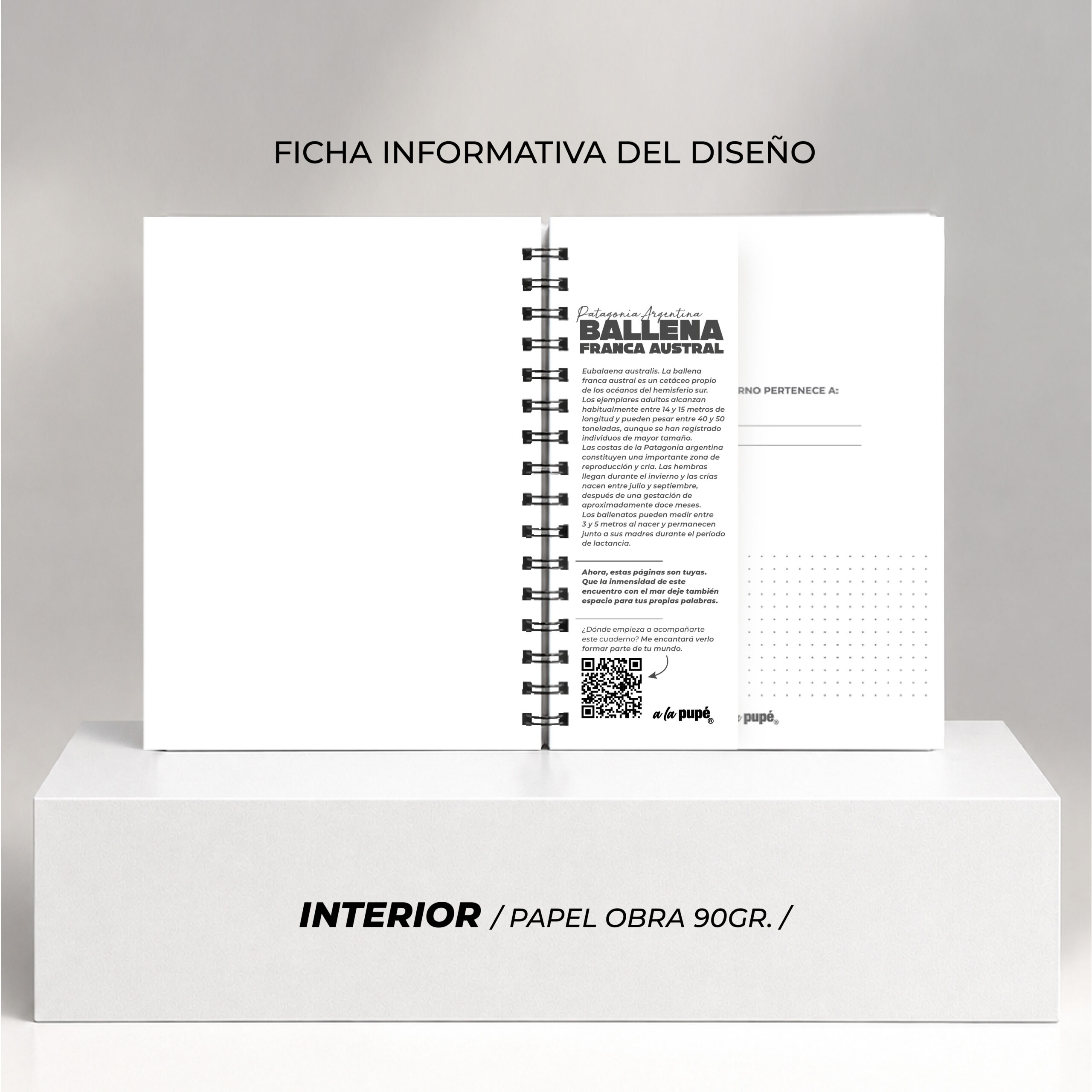 Cuaderno c/anillo 15x21 - BALLENA - Imagen 4