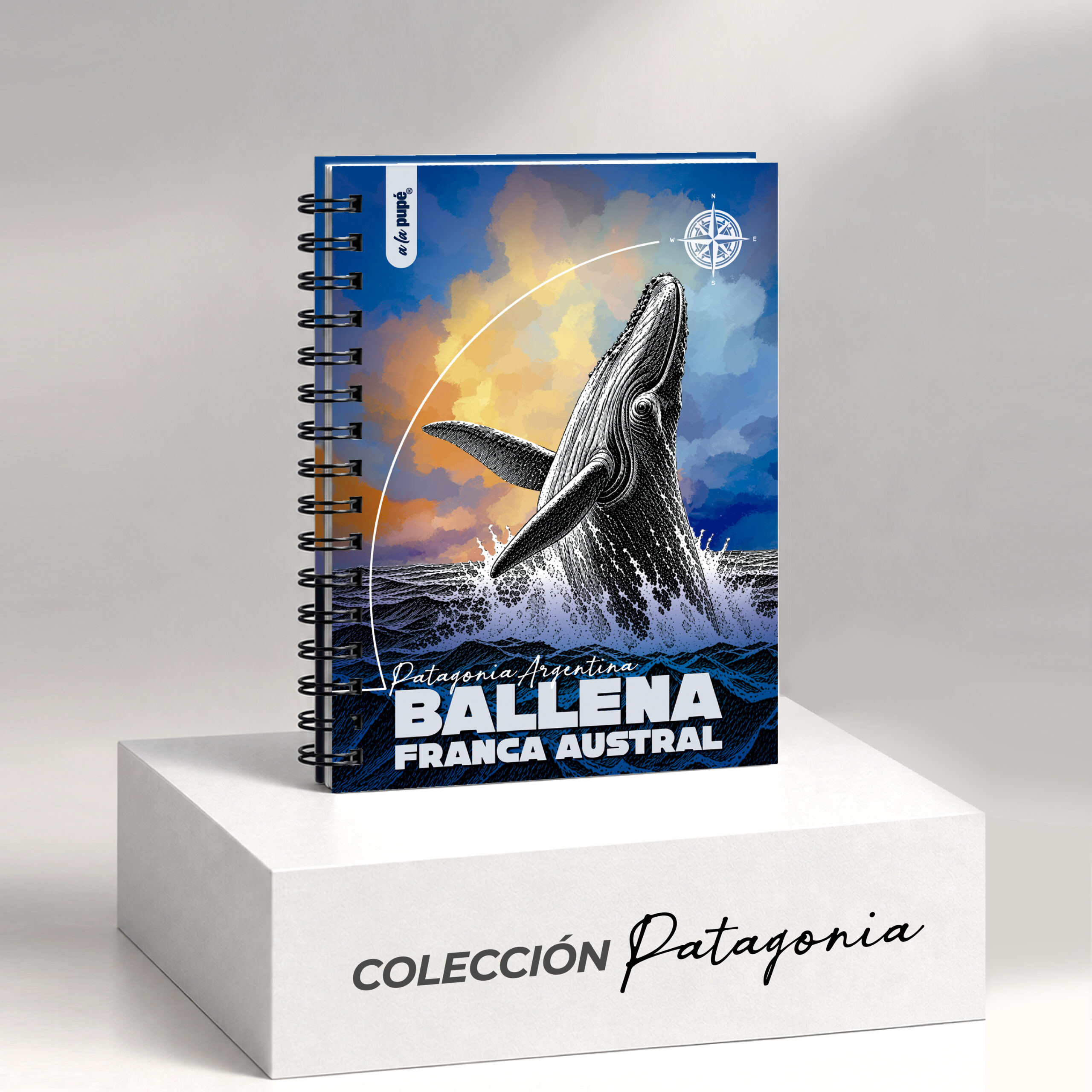 Cuaderno c/anillo 15x21 - BALLENA