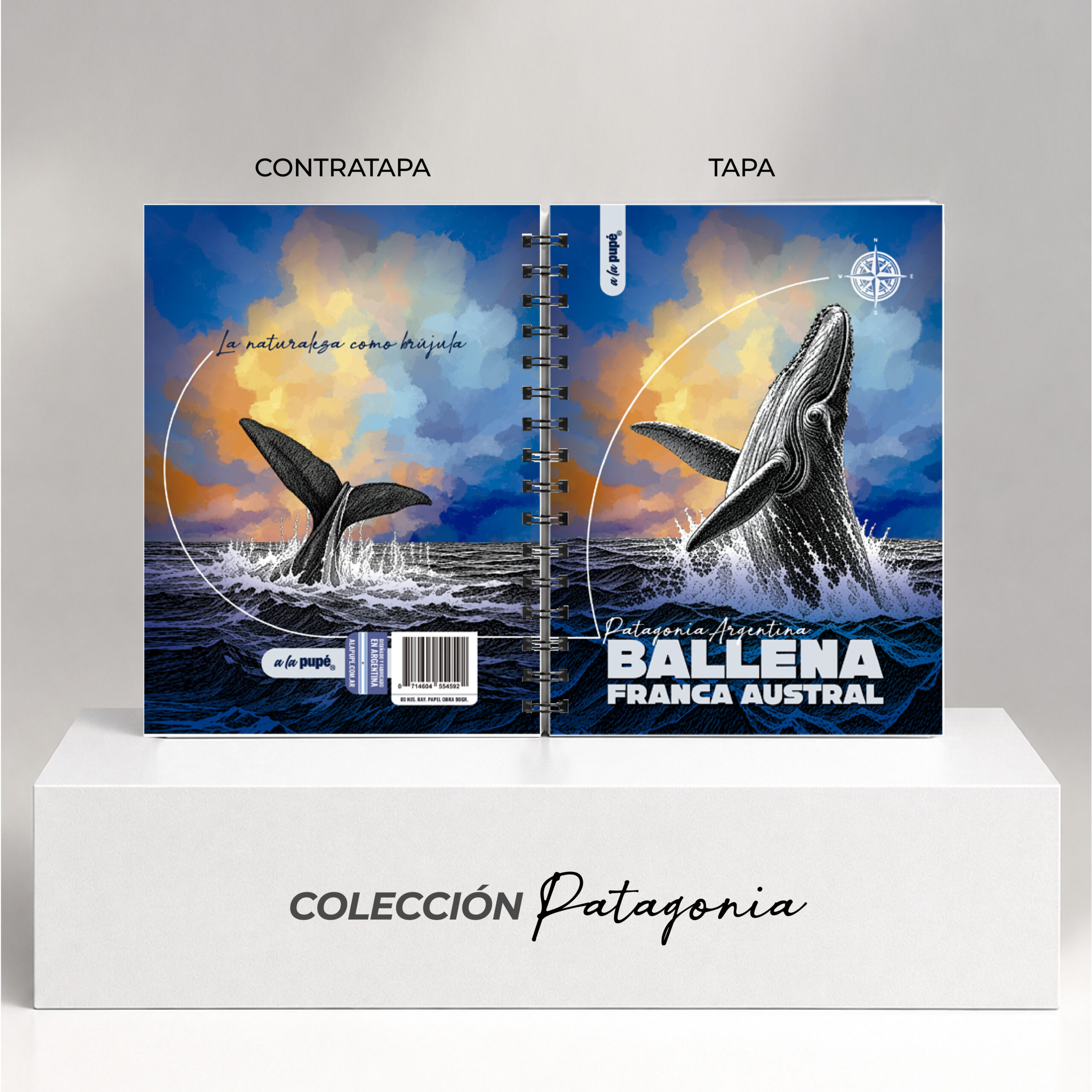 Cuaderno c/anillo 15x21 - BALLENA - Imagen 3