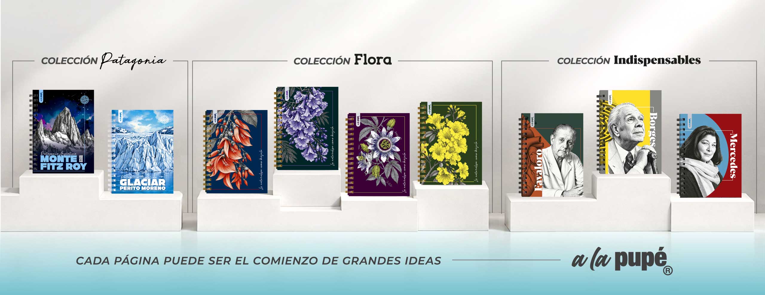 presentacion-2-web