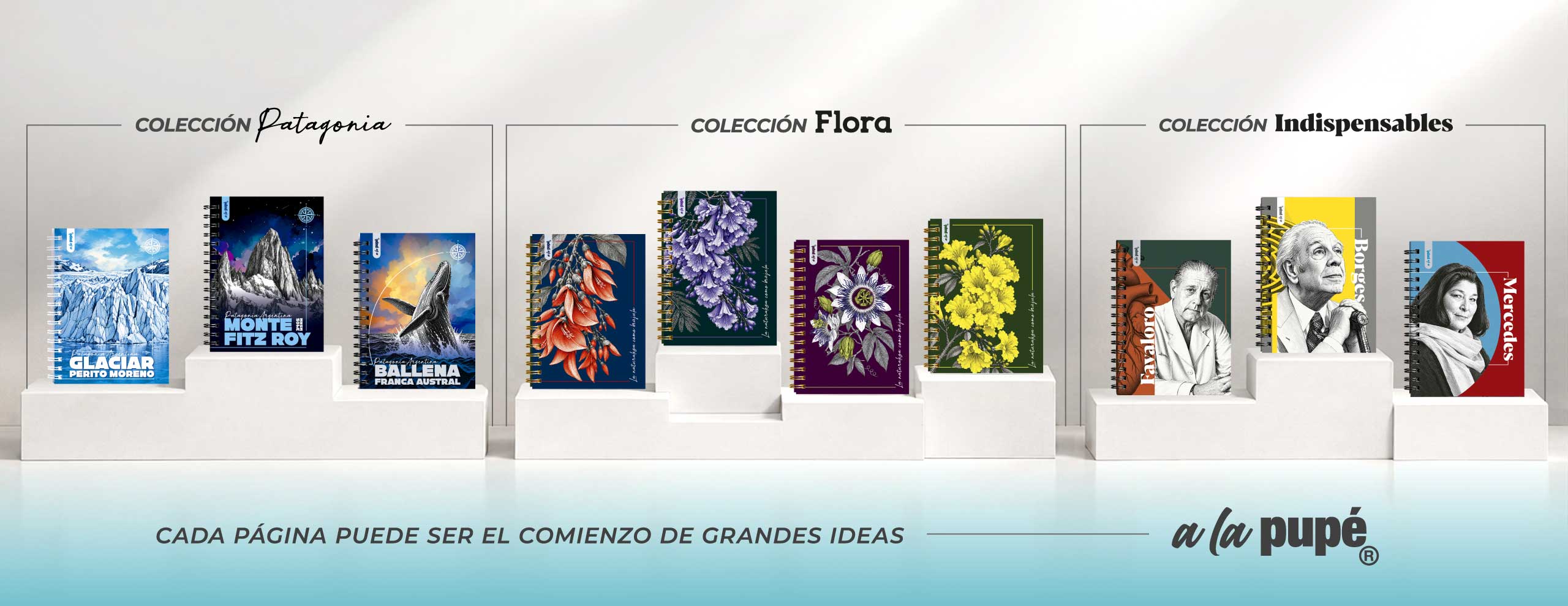 presentacionweb